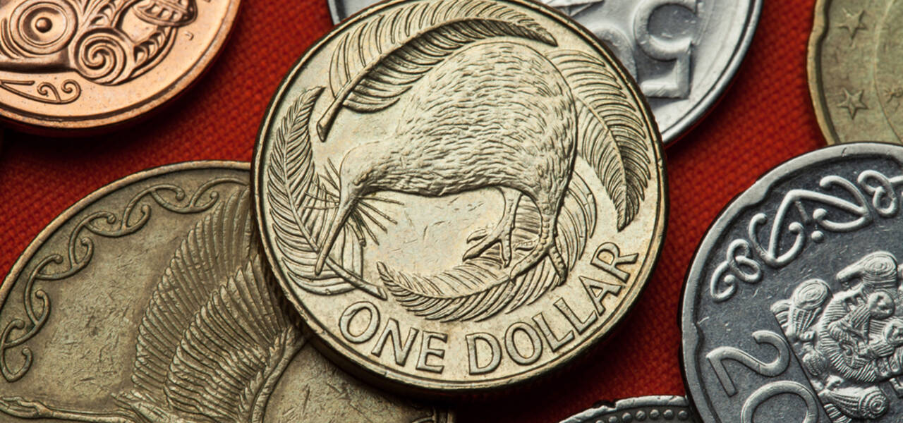 NZD/USD: the kiwi will rise