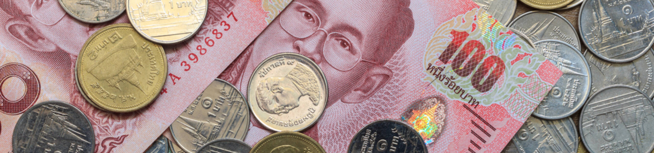 Economic outlook on the Thai baht